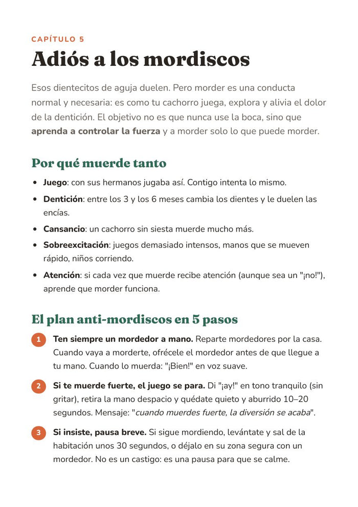 Página del capítulo de mordiscos