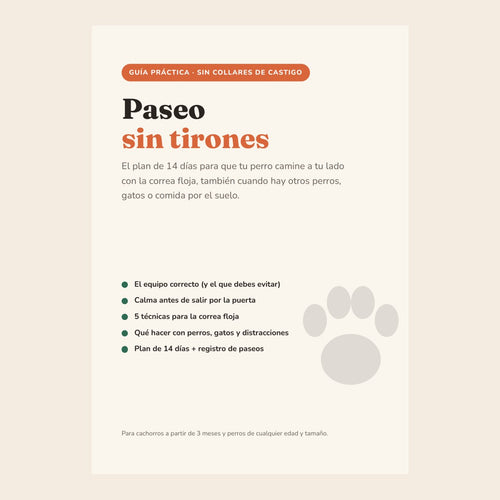 Guía Paseo sin tirones