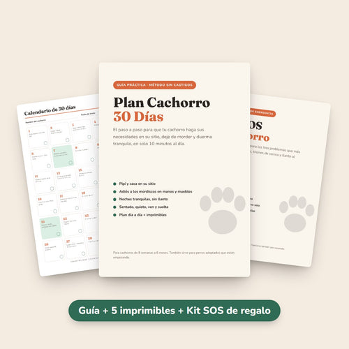Guía Plan Cachorro 30 Días, calendario imprimible y Kit SOS de regalo